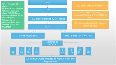 Correlation between mismatch repair statuses and the prognosis of stage I–IV colorectal cancer